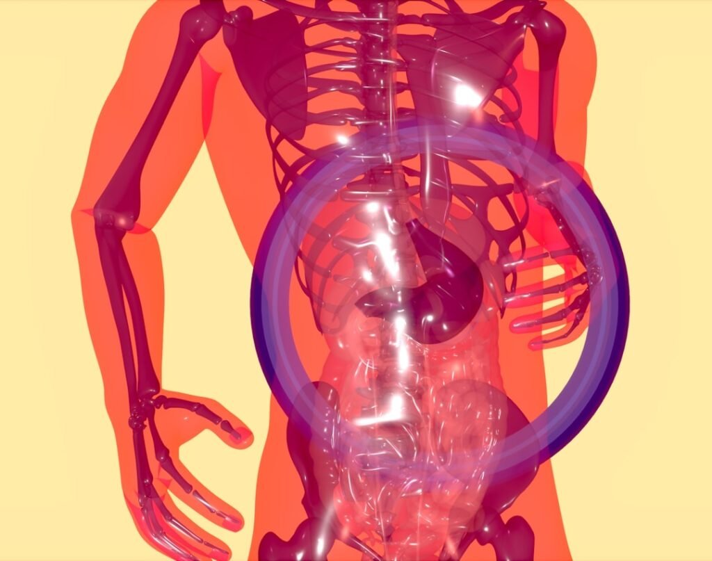 Photo Gut microbiome