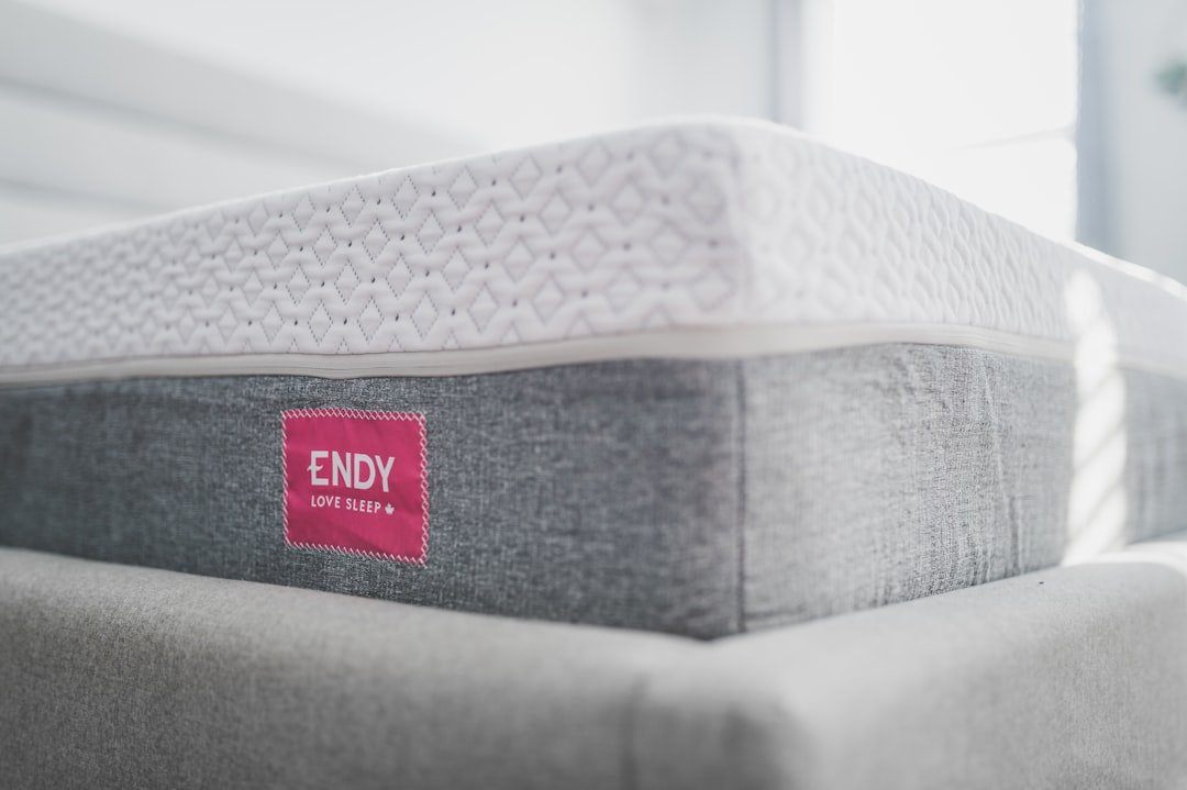 Photo Infested mattress