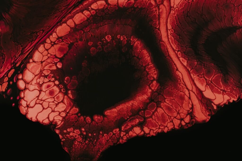 Photo inflammatory erythema