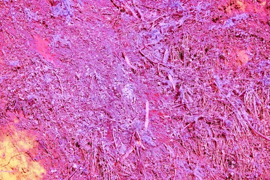 Photo inflammatory erythema